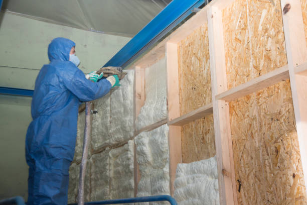 Insulation Replacement Services in Adrian, MN